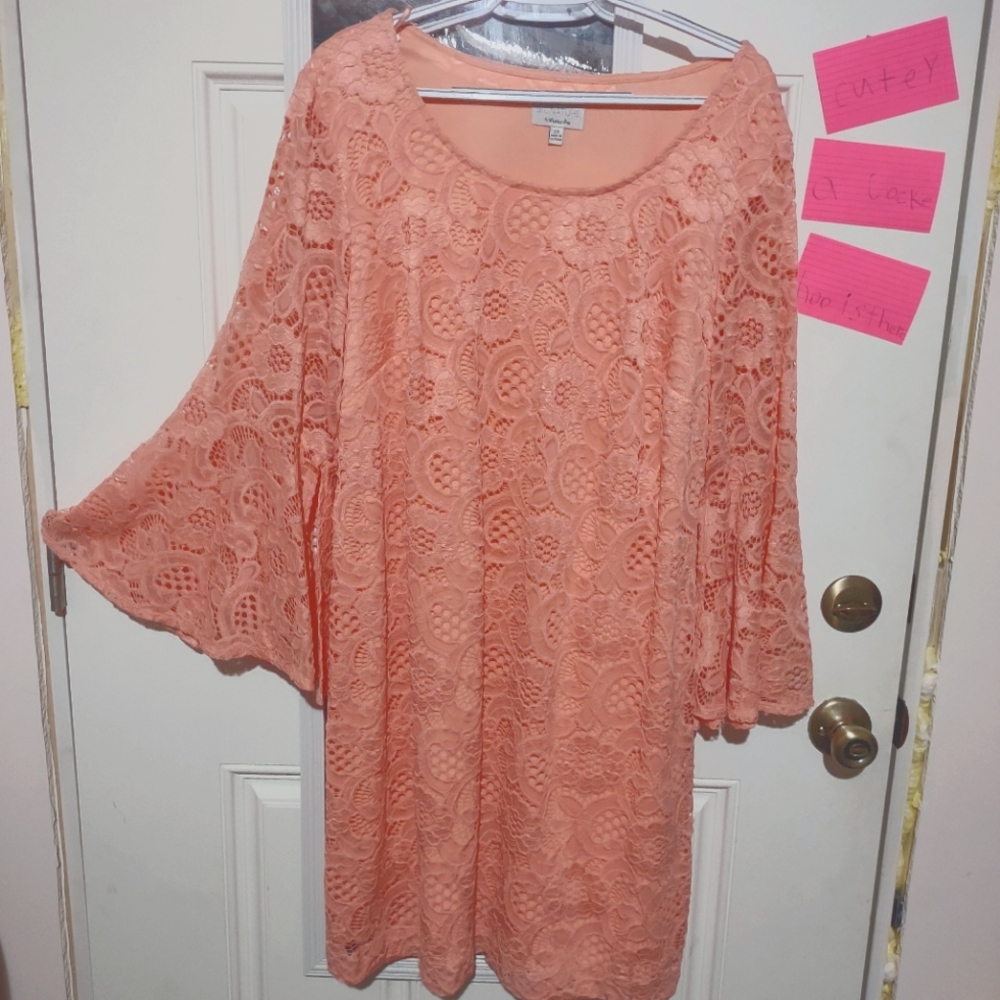 Signature by Robbie Bee 2X shift dress